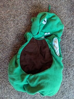 Cute Plush Green Dinosaur Reptile Costume